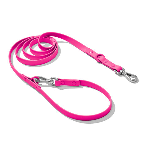 Doxie Leash