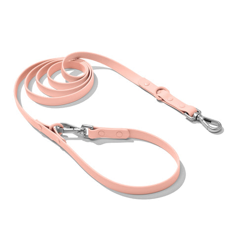 Doxie Leash