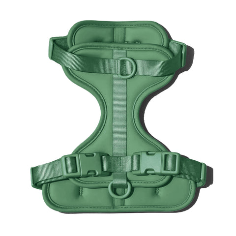 Doxie Harness