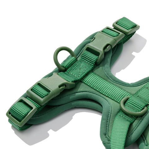 Doxie Harness