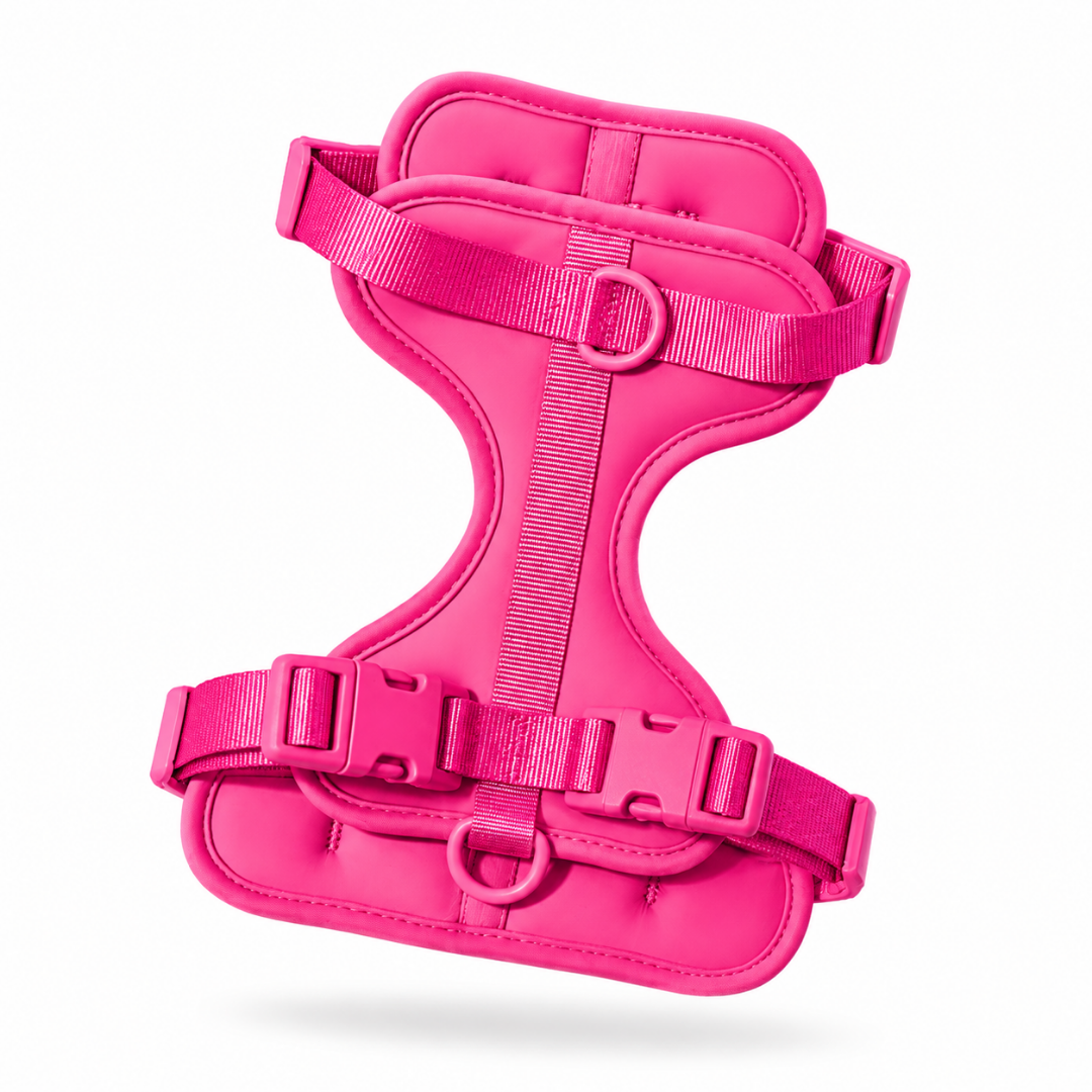 Bright Pink