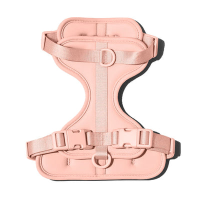 Doxie Harness