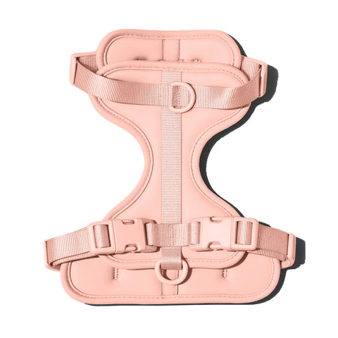 Doxie Harness