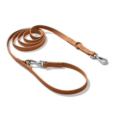 Doxie Leash