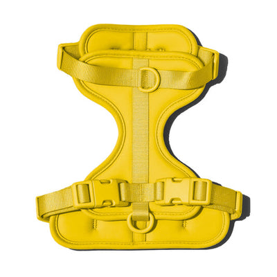 Doxie Harness
