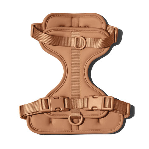 Doxie Harness