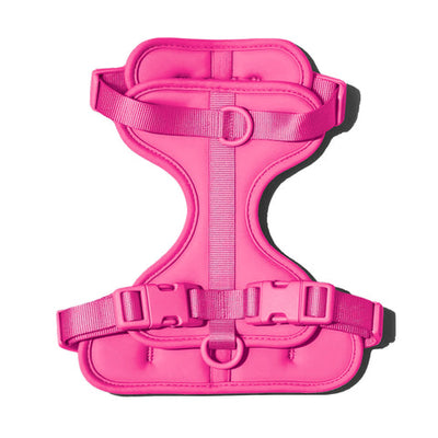 Doxie Harness