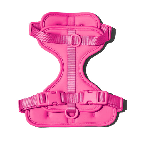 Doxie Harness