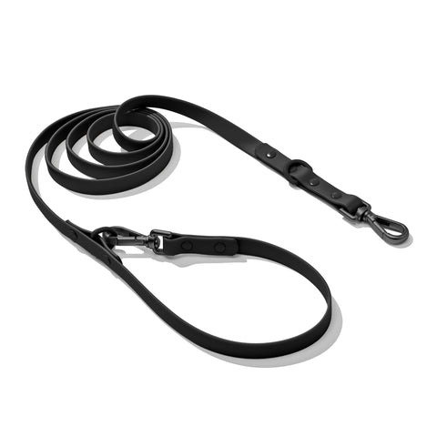 Doxie Leash