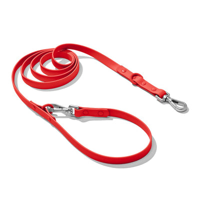 Doxie Leash