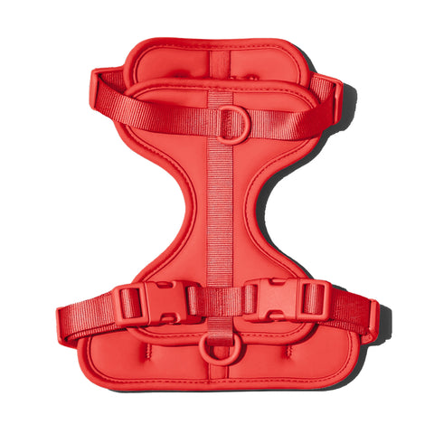Doxie Harness