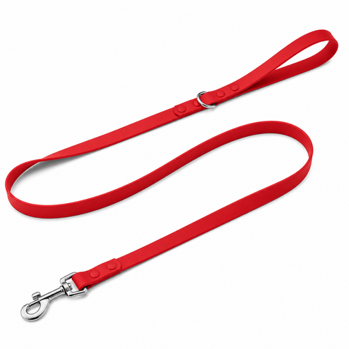 Leash