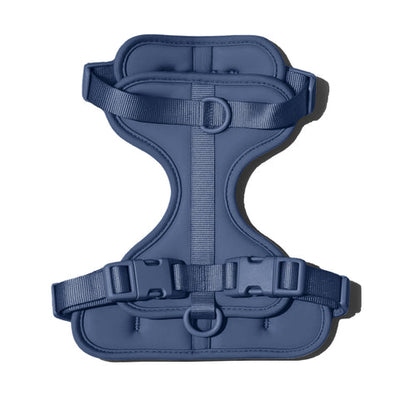 Doxie Harness