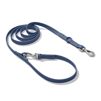 Doxie Leash