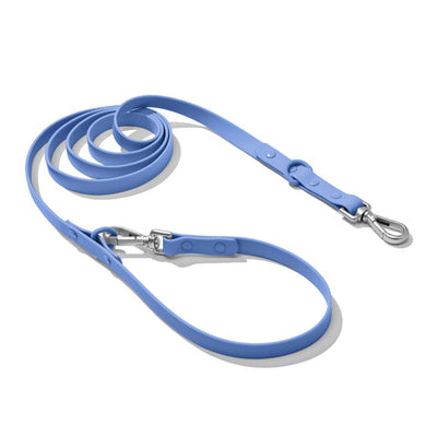 Doxie Leash