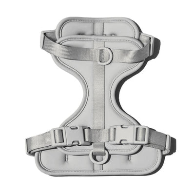 Doxie Harness