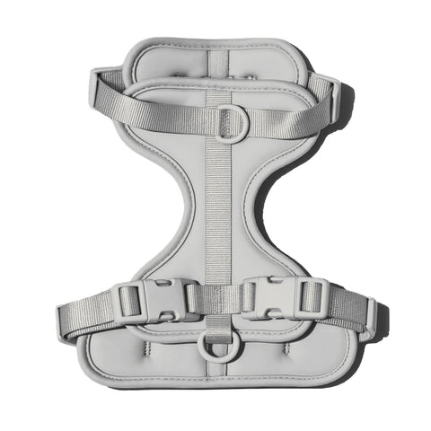 Doxie Harness