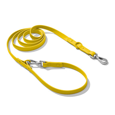 Doxie Leash