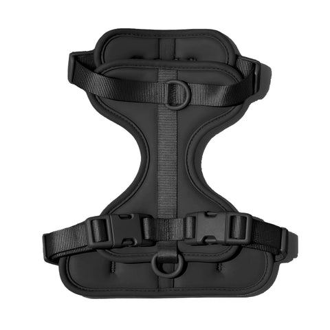 Doxie Harness