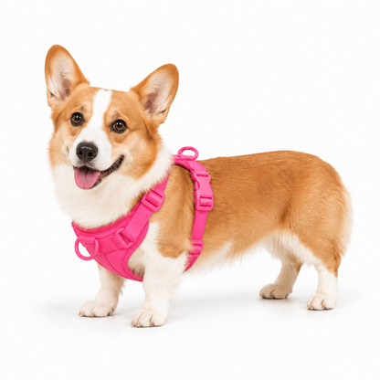 Bright Pink