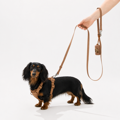 DoxieSupport Bundle