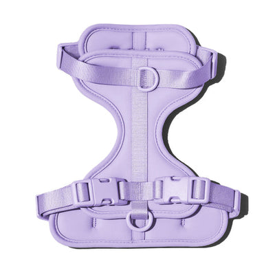 Doxie Harness