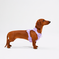 DoxieSupport Bundle